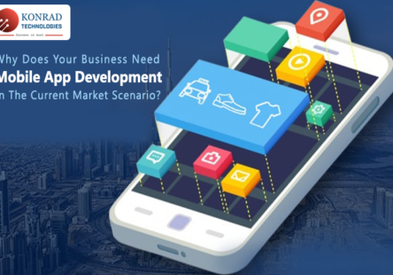 business need mobile app development
